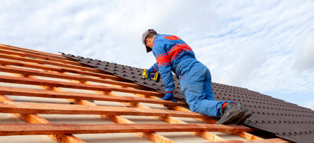 Best Roof Maintenance and Cleaning  in Yalaha, FL